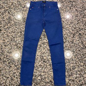 Hudson Royal Blue Skinny Jean